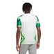 Camiseta-Nike-Nigeria-Home-Masculina-Multicolor-2